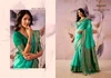 Rang Upavan By Rajpath Tissue Silk Zari Weaving Border Saree